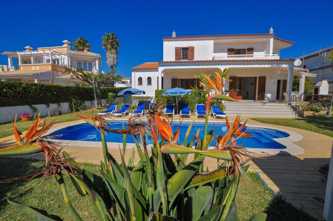 Casa Das Palmeiras By Ocvillas البوفيرا المظهر الخارجي الصورة